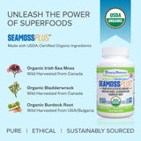 SeaMoss Plus Ingredients