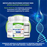 Methyl Multi One without Iron Multivitamin (60 Capsules, 2-Month Supply) - Power By Naturals